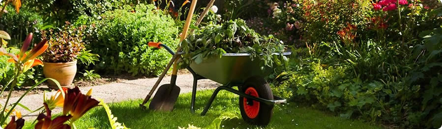 giardiniere impresa giardinaggio Opera
