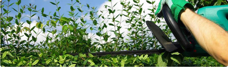 giardiniere impresa giardinaggio Senago giardiniere impresa giardinaggio Senago