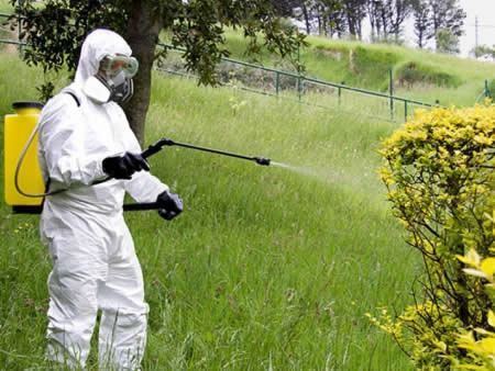 impresa di giardinaggio milano